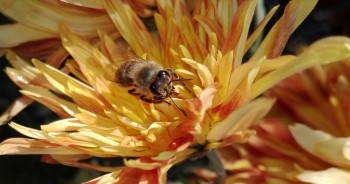 rsz_img_20171111_135913.jpg