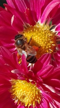 rsz_img_20171111_122644.jpg
