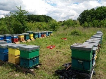 20170514_141733.jpg