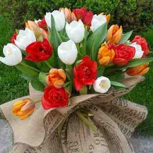 rsz_img-20170301-wa0007.jpg