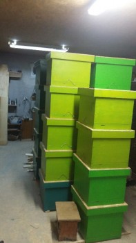 20180221_222439-459x816.jpg