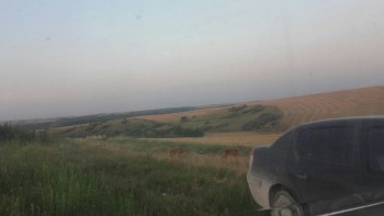 IMG-20180317-WA0052.jpg