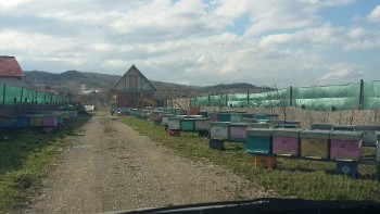 20180325_163921-816x459.jpg