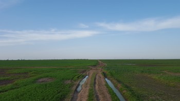 20180410_184112[1].jpg