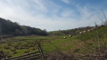 20180404_164611[1].jpg