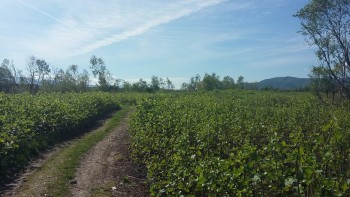 20180427_102236-816x459.jpg
