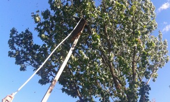 20180516_185013.jpg