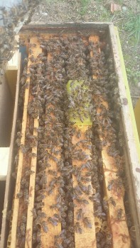 20180620_181430-459x816.jpg