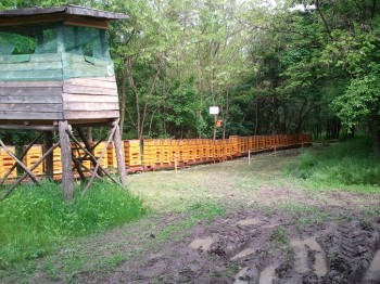 2014-05-03 10.52.32.jpg
