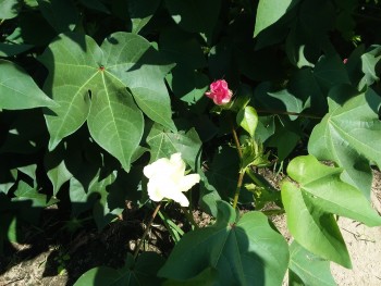 20180724_092440.jpg