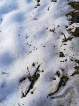 rsz_img_20190123_145235.jpg