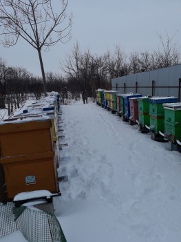 20190111_150408.jpg
