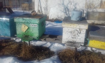 20190118_135421.jpg