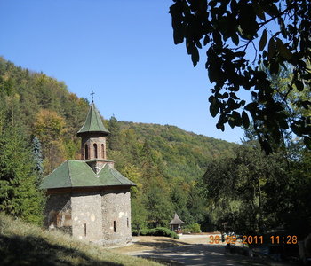 rsz_dscn1937.jpg