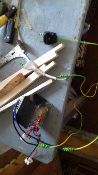 20190424_154020-459x816.jpg