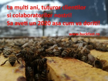 buckfast_ro_la_multi_ani_2020_s.jpg