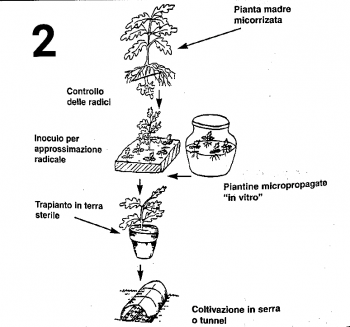 20201029_163540.png