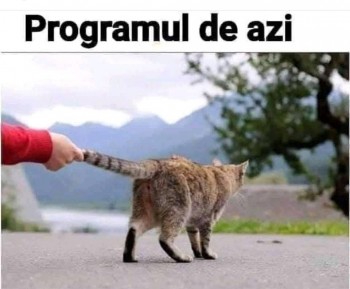 Programul meu.jpg