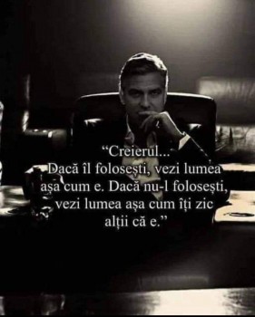 FB_IMG_1733038906672.jpg