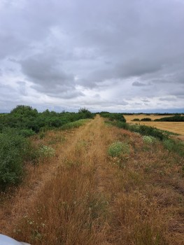 20220706_135513.jpg