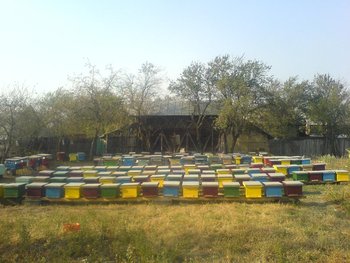DSC00007.JPG