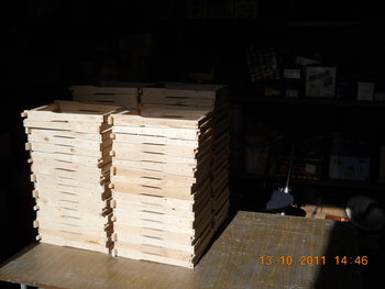 rsz_dscn2025.jpg