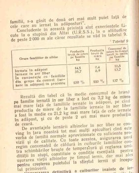 p2.jpg