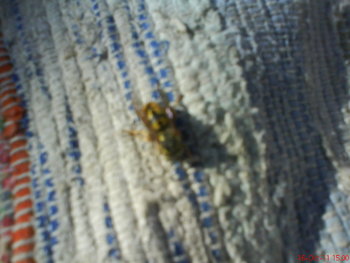 DSC01107.JPG