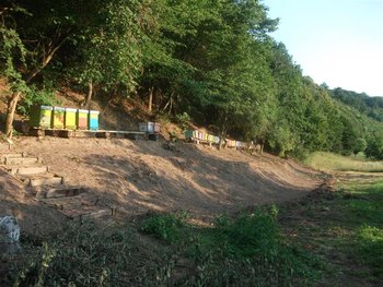 DSCF6539 (Medium).JPG