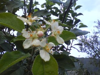 DSC03709.JPG