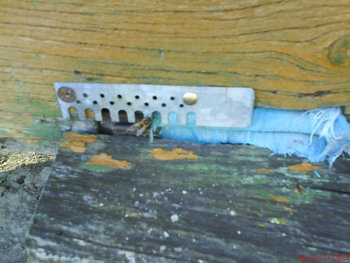 DSC01110.JPG