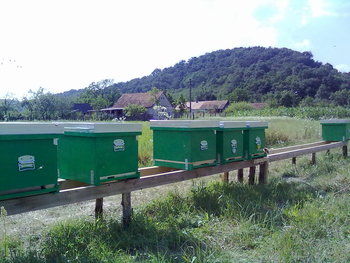 rsz_09072011012.jpg
