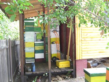 IMG_19361.JPG