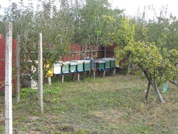 20101.jpg