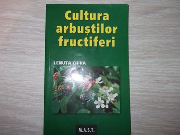Picture (Copy).jpg