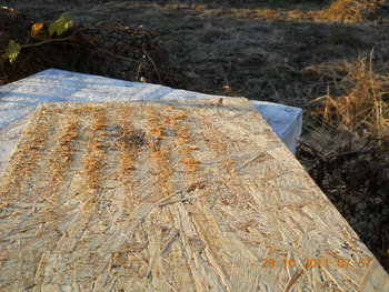 rsz_1dscn2135.jpg