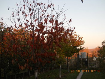 rsz_2dscn2126.jpg
