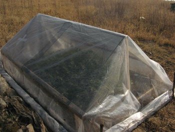 toamna 2011 181 (Medium).jpg