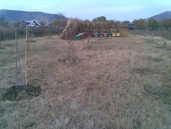 vatra.jpg