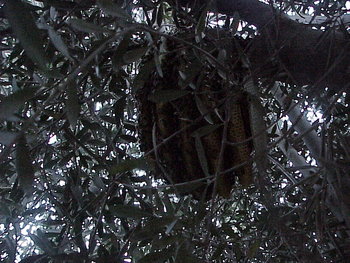 MVC-890X.JPG