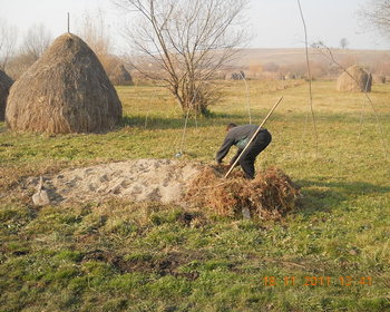 rsz_2dscn2277.jpg
