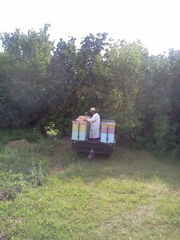 IMG021.jpg