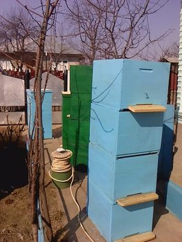 P110311_10.42.jpg