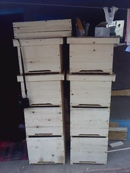 P250611_13.36.jpg