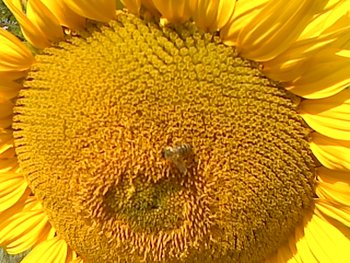 P160711_09.41_[01].jpg