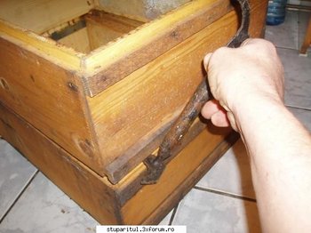 ok_16319.jpg