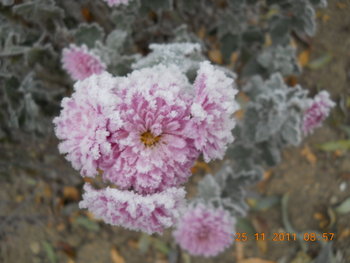 rsz_dscn2294.jpg