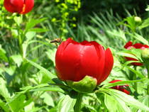 KXWAPQXKHEYRAJSWUDJ[2].jpg