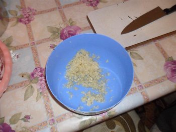 SAM_0603 (Large).JPG