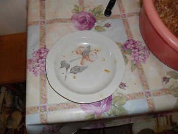 SAM_0612 (Large).JPG